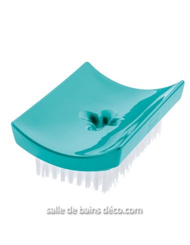 Porte Savon et brosse à ongle combiné - Daily Soap 2 en 1 - Turquoise